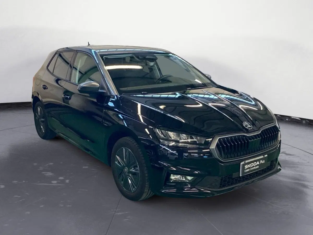 Skoda Fabia usata a Reggio Calabria (3)