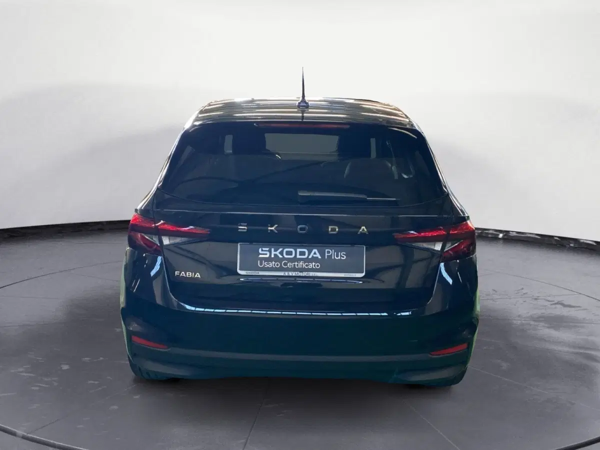 Skoda Fabia usata a Reggio Calabria (5)