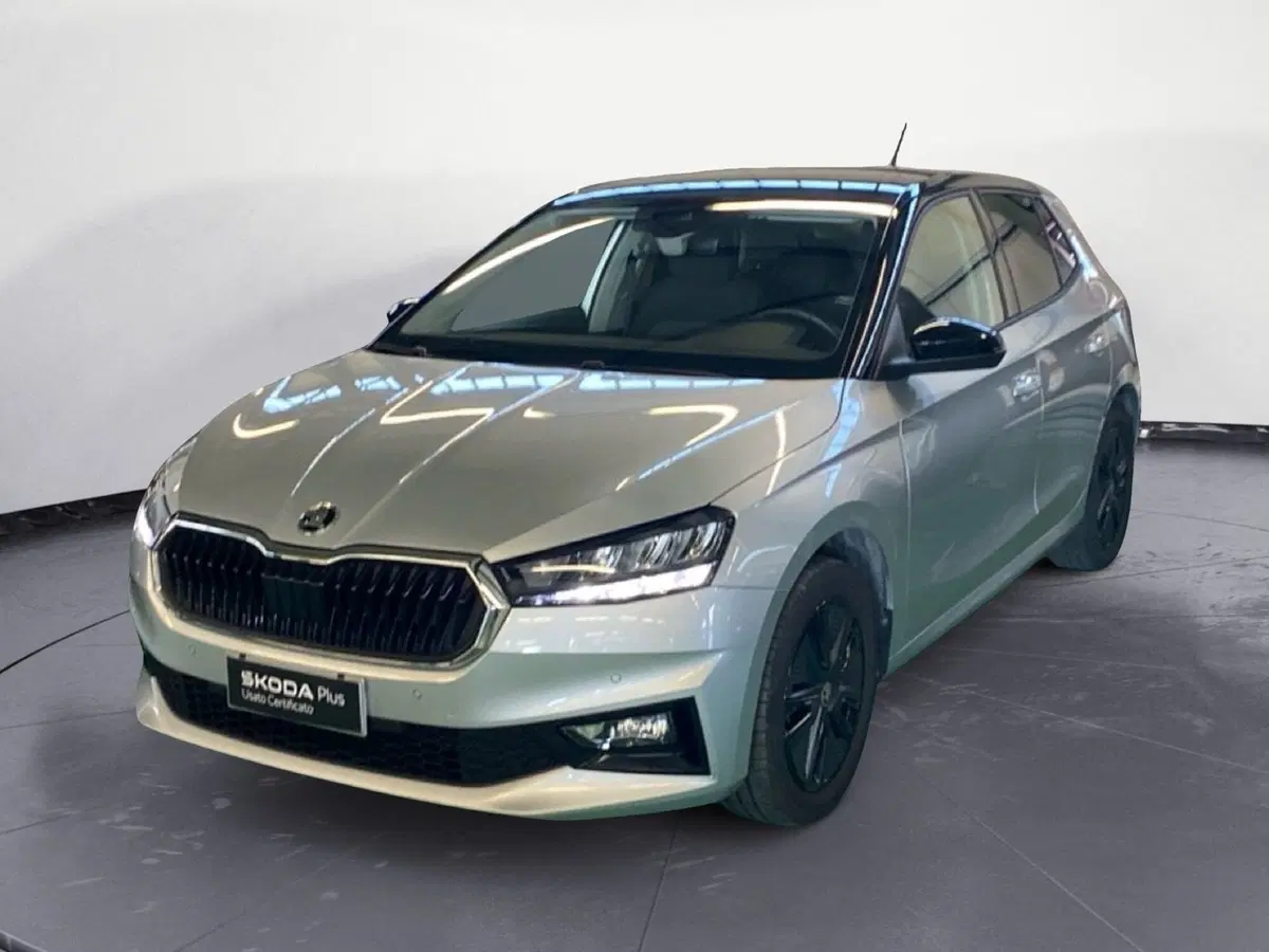 Skoda Fabia usata a Reggio Calabria