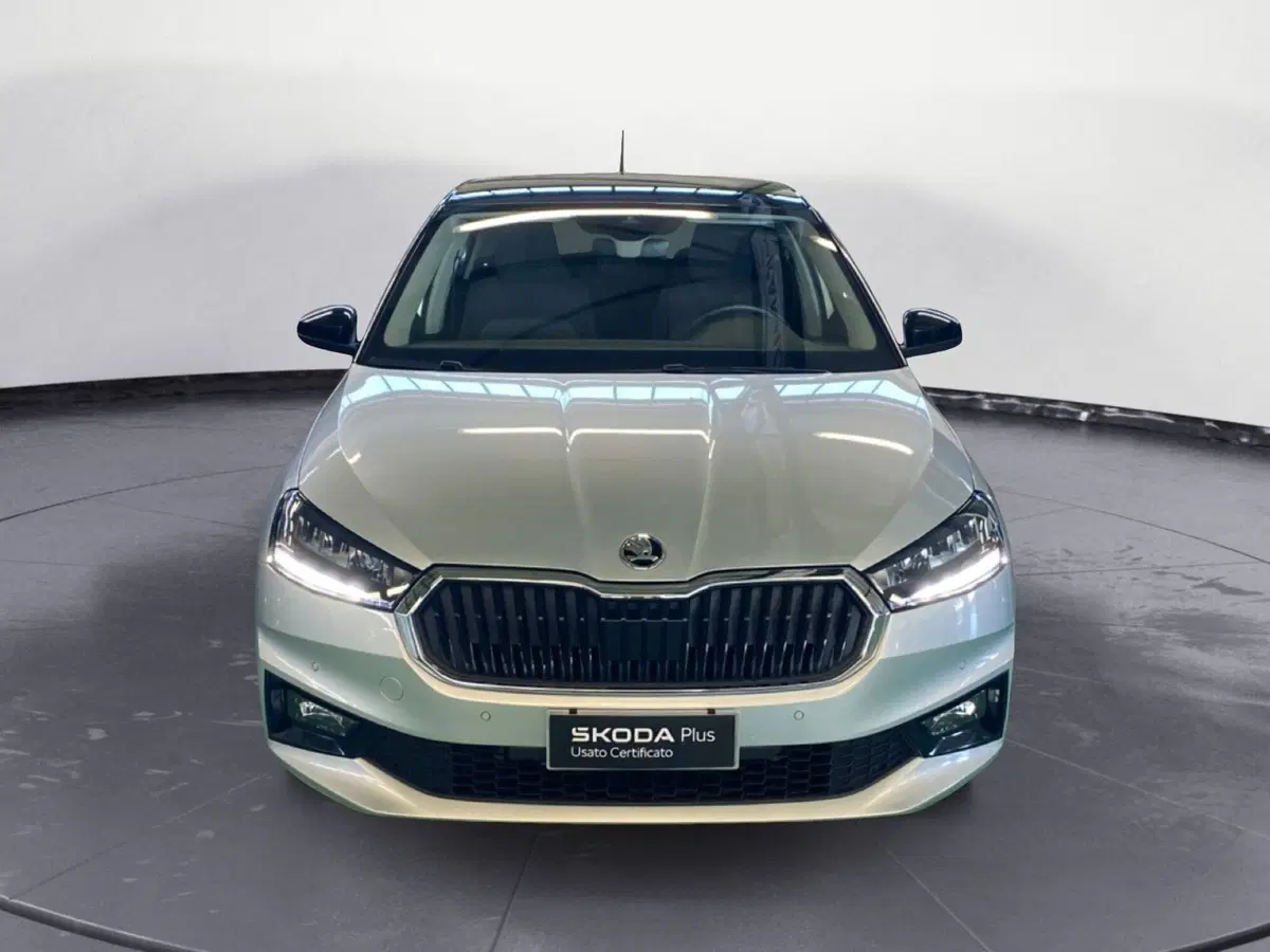 Skoda Fabia usata a Reggio Calabria (2)
