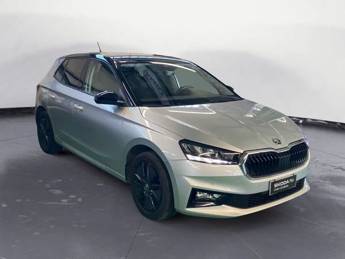 Skoda Fabia usata a Reggio Calabria (3)