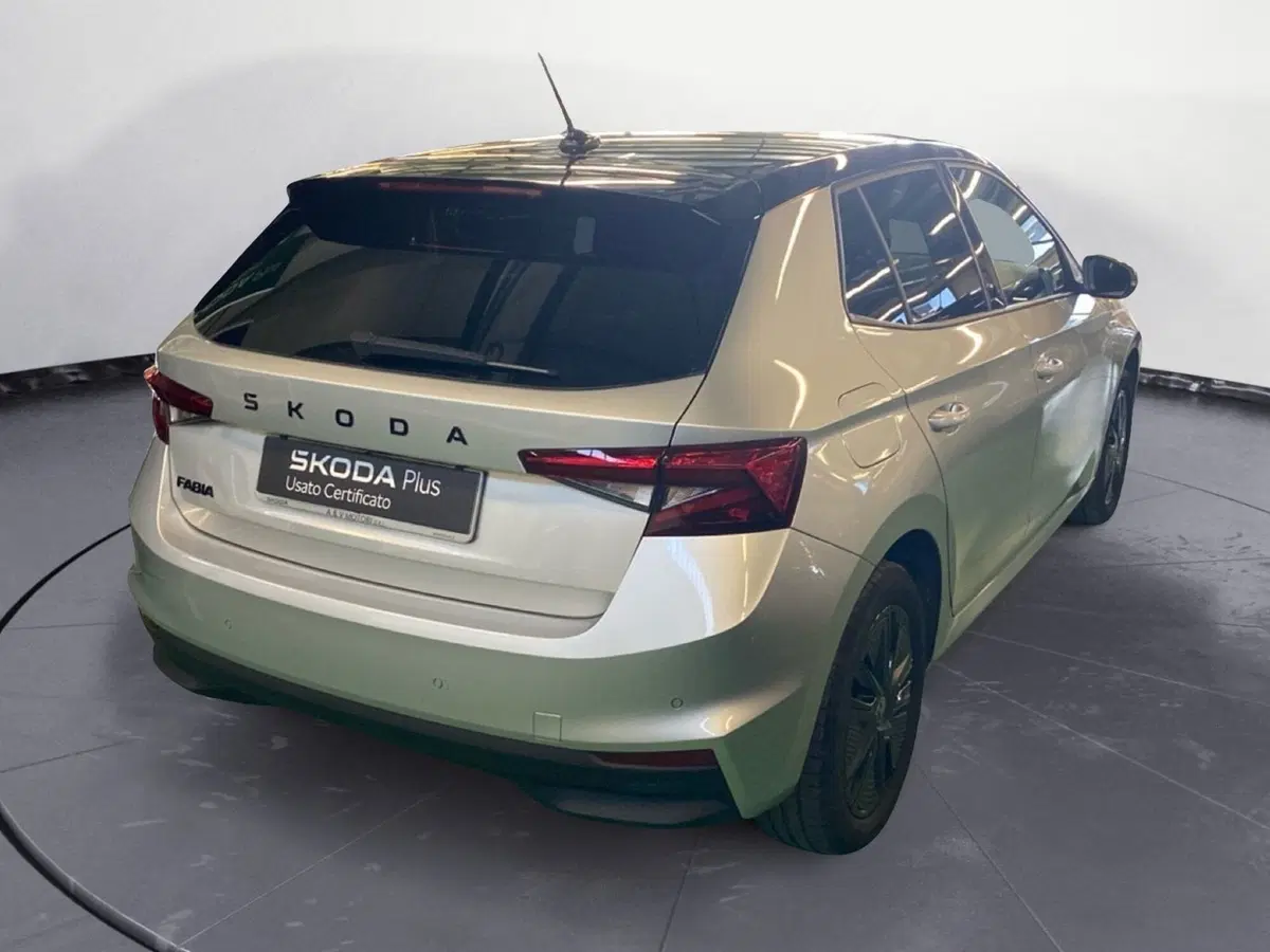 Skoda Fabia usata a Reggio Calabria (4)