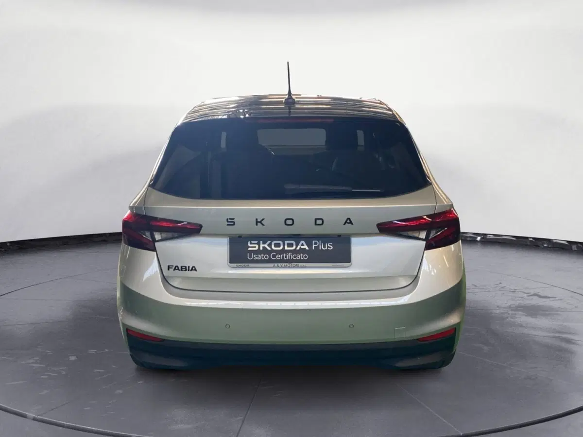 Skoda Fabia usata a Reggio Calabria (5)
