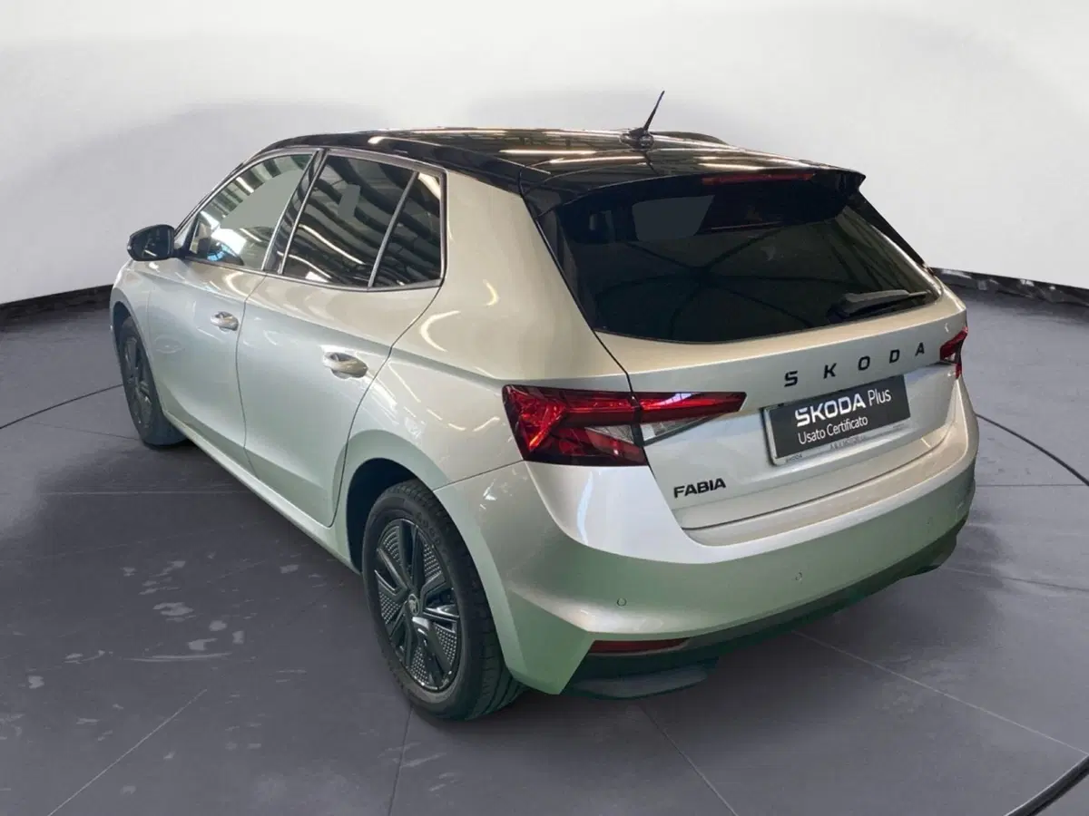 Skoda Fabia usata a Reggio Calabria (6)