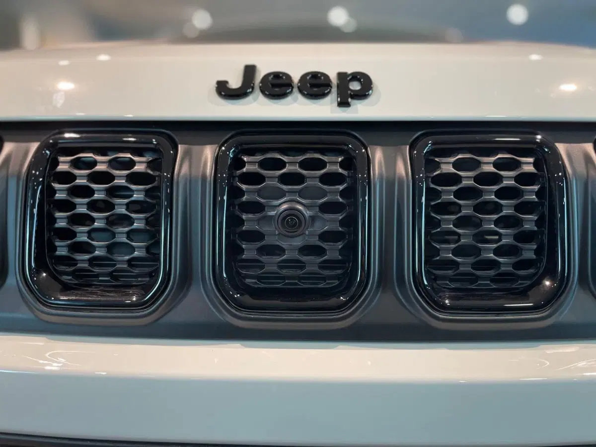 Jeep Compass usata a Ancona (10)