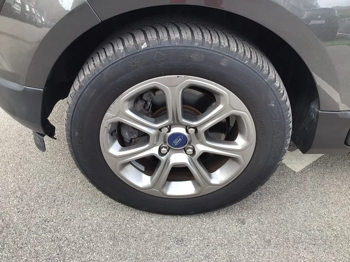 Ford EcoSport usata a Genova (9)