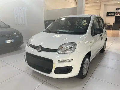 Fiat Pandina 1.0 firefly hybrid Icon s&s 65cv nuova a Altopascio