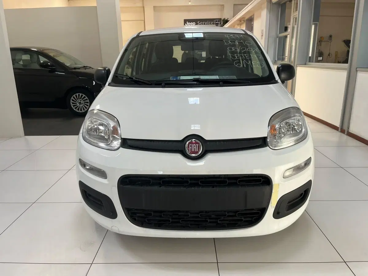 Fiat Pandina nuova a Lucca (2)