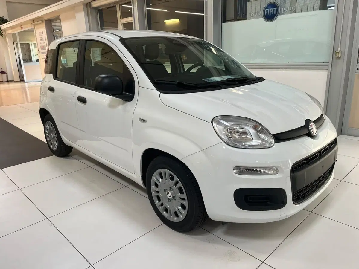 Fiat Pandina nuova a Lucca (3)