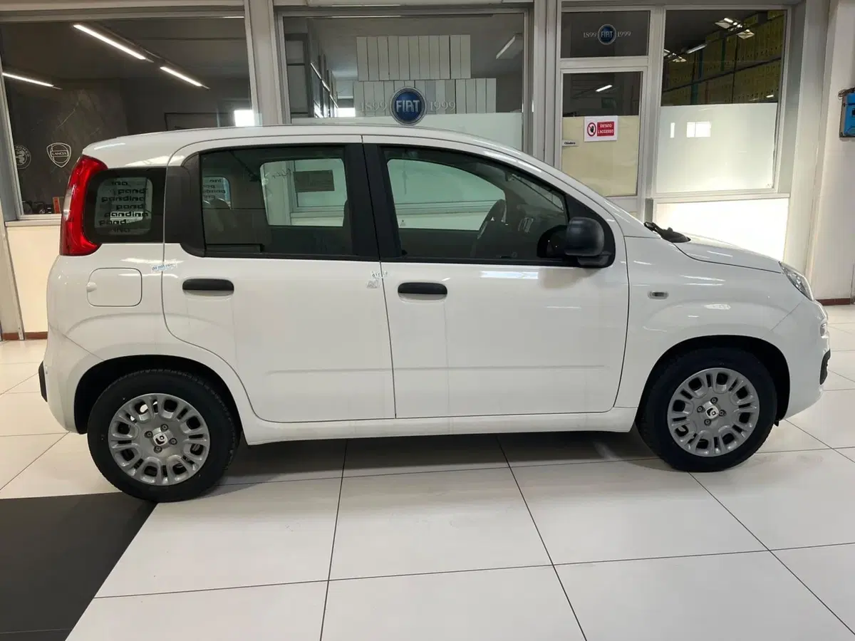 Fiat Pandina nuova a Lucca (4)