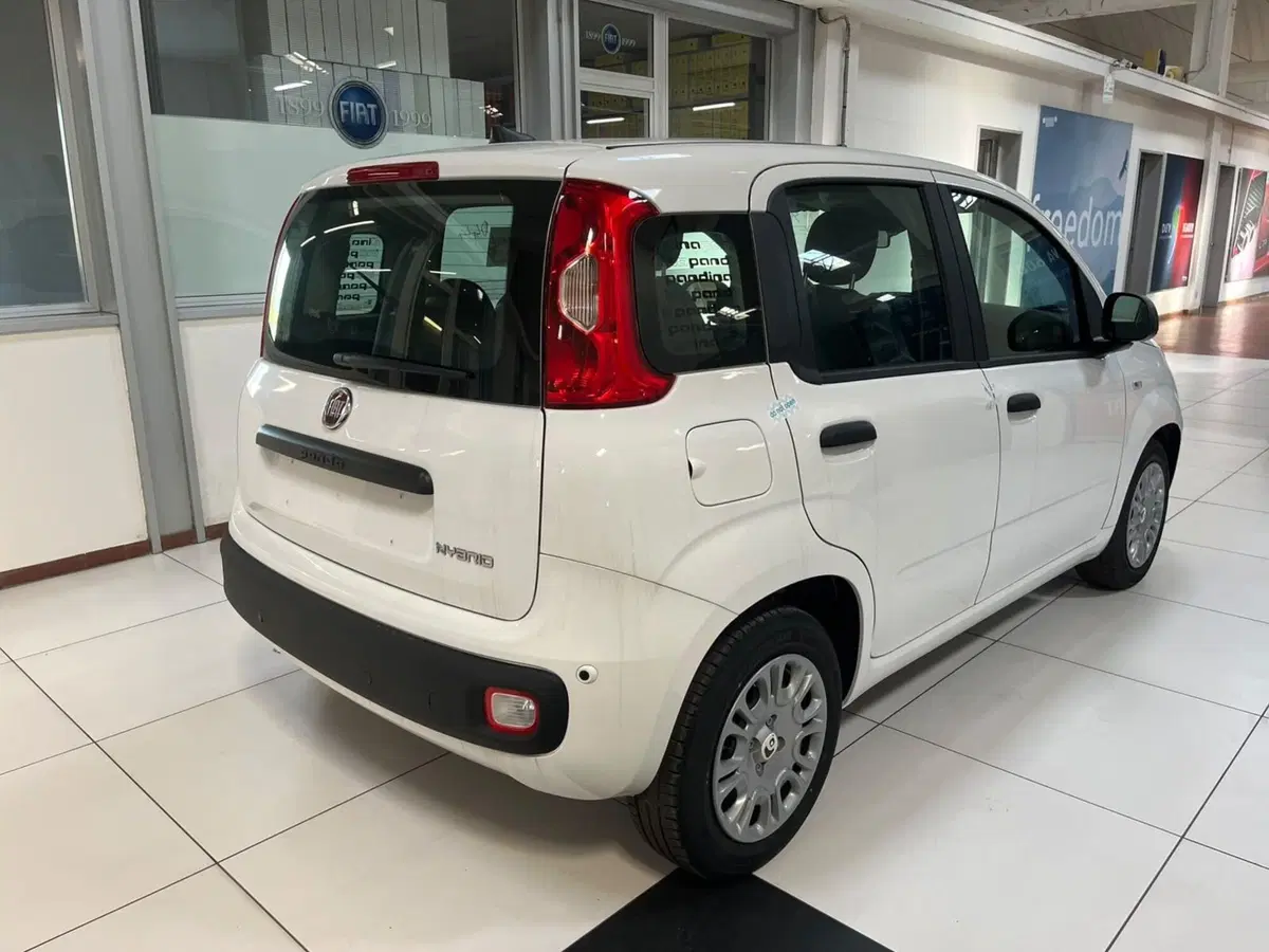 Fiat Pandina nuova a Lucca (5)
