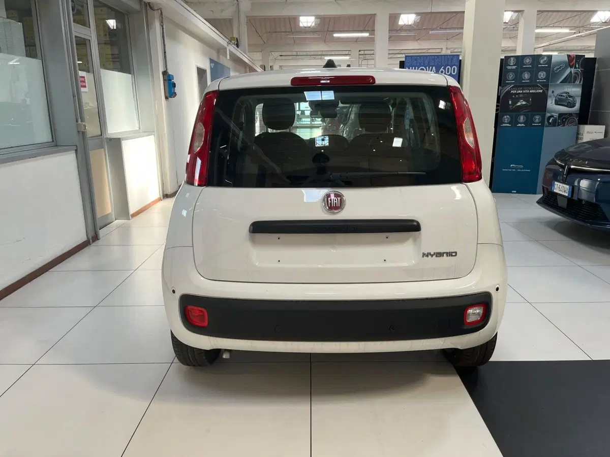Fiat Pandina nuova a Lucca (6)