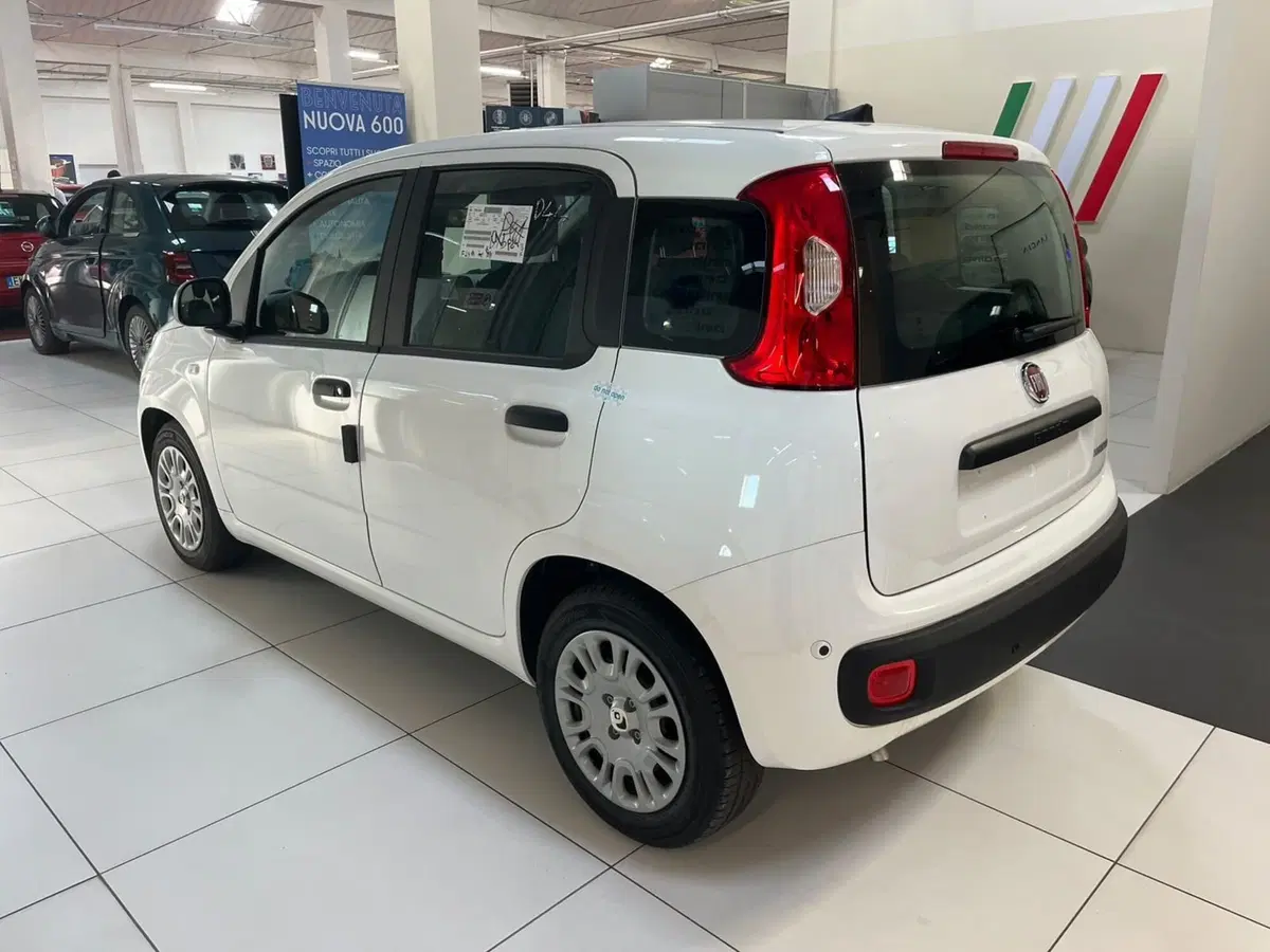 Fiat Pandina nuova a Lucca (7)