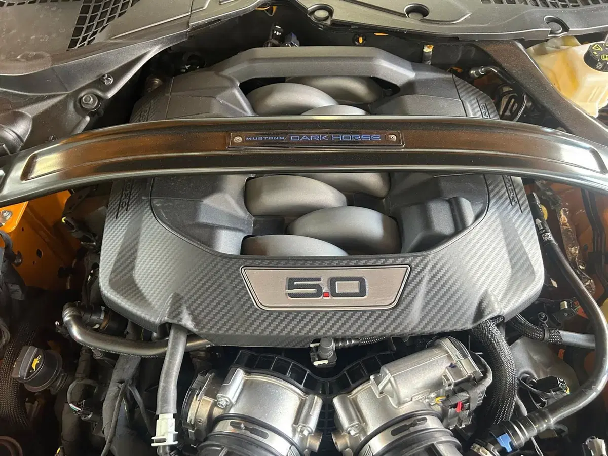 Ford Mustang Coupé nuova a Monza e Brianza (13)
