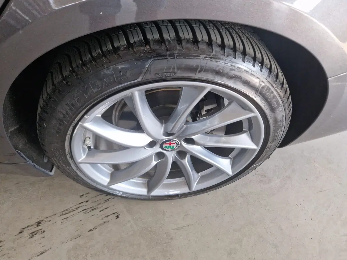 Alfa Romeo Giulia usata a Terni (15)