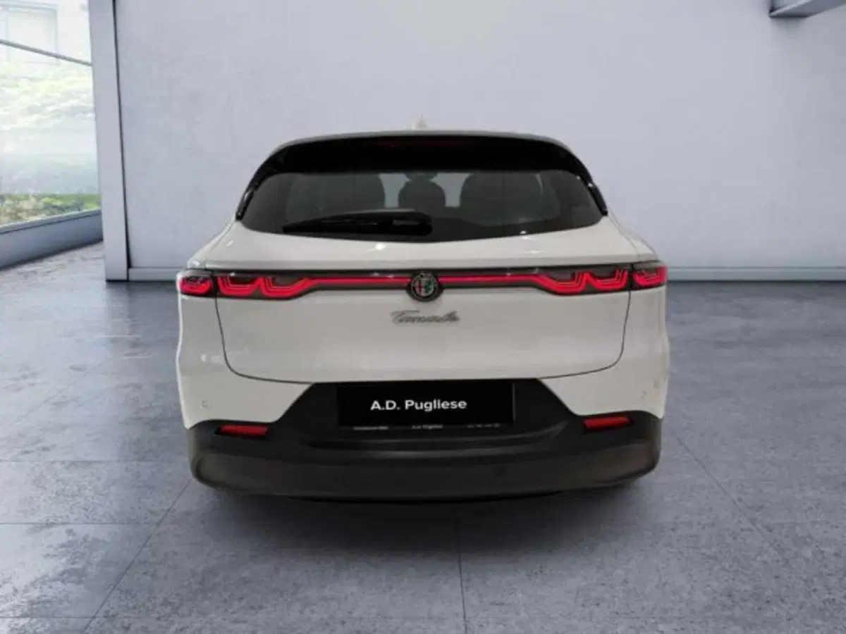Alfa Romeo Tonale usata a Caltanissetta (6)