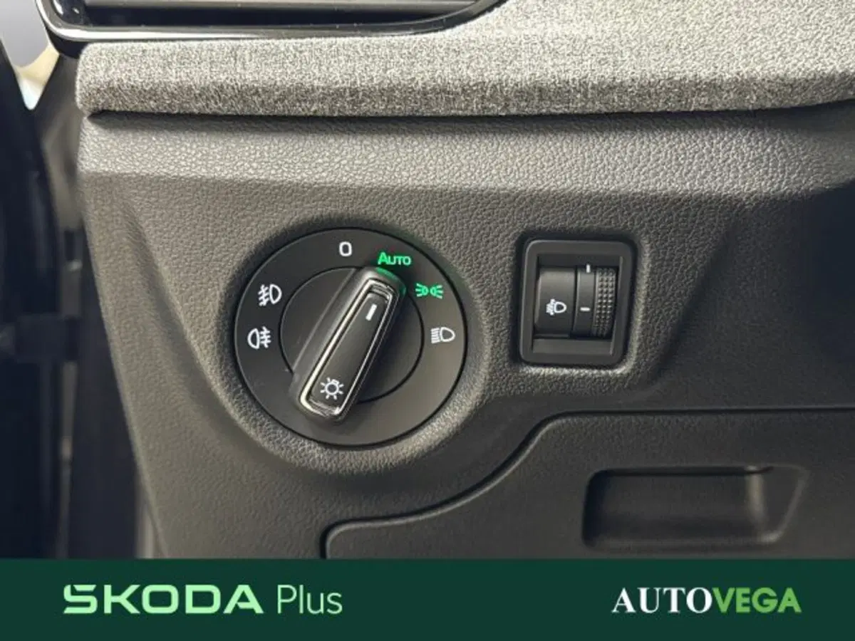 Skoda Kamiq usata a Vicenza (16)