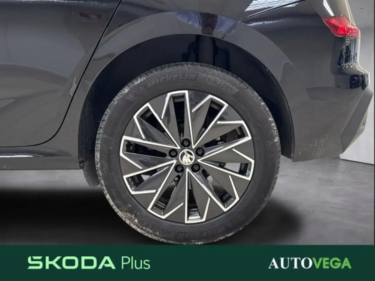 Skoda Kamiq usata a Vicenza (18)