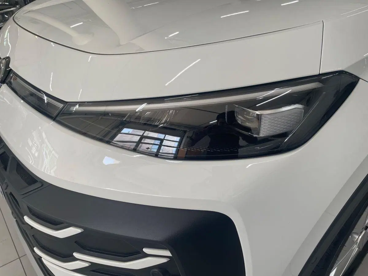 Volkswagen T-Roc usata a Firenze (7)