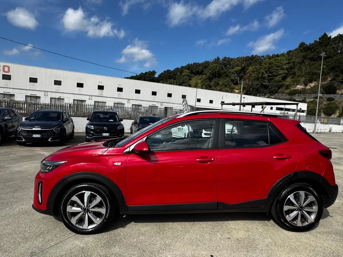 Kia Stonic usata a Cosenza (8)