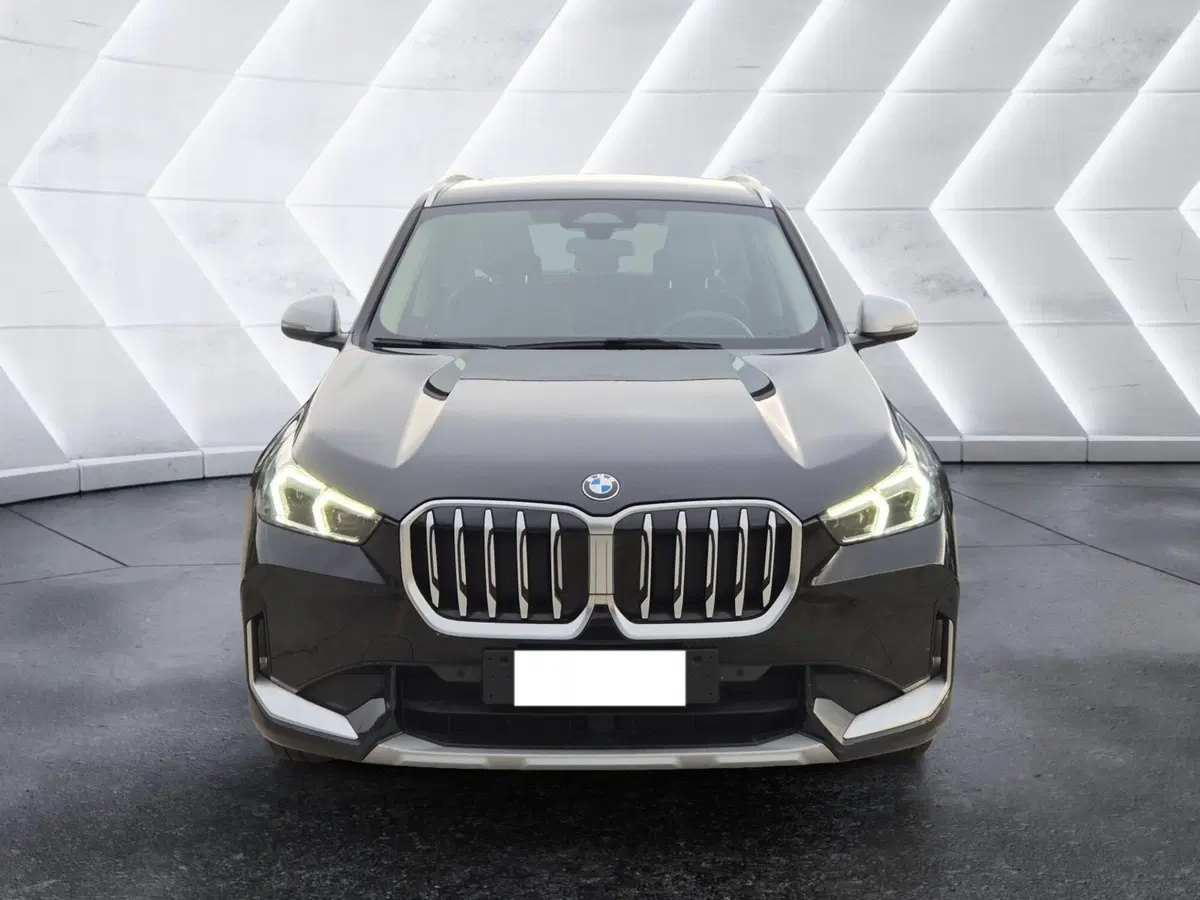 BMW X1 usata  (2)