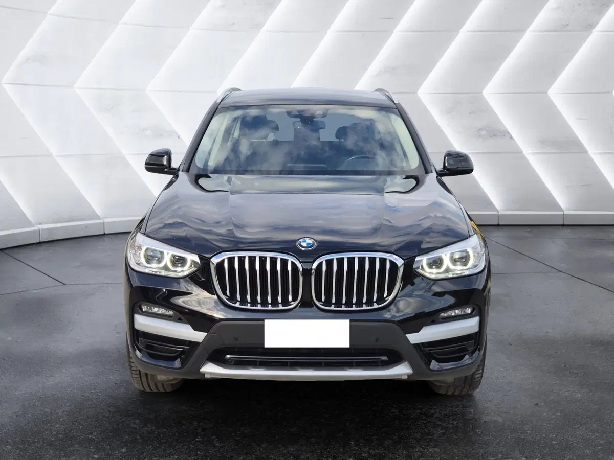 BMW X3 usata  (2)