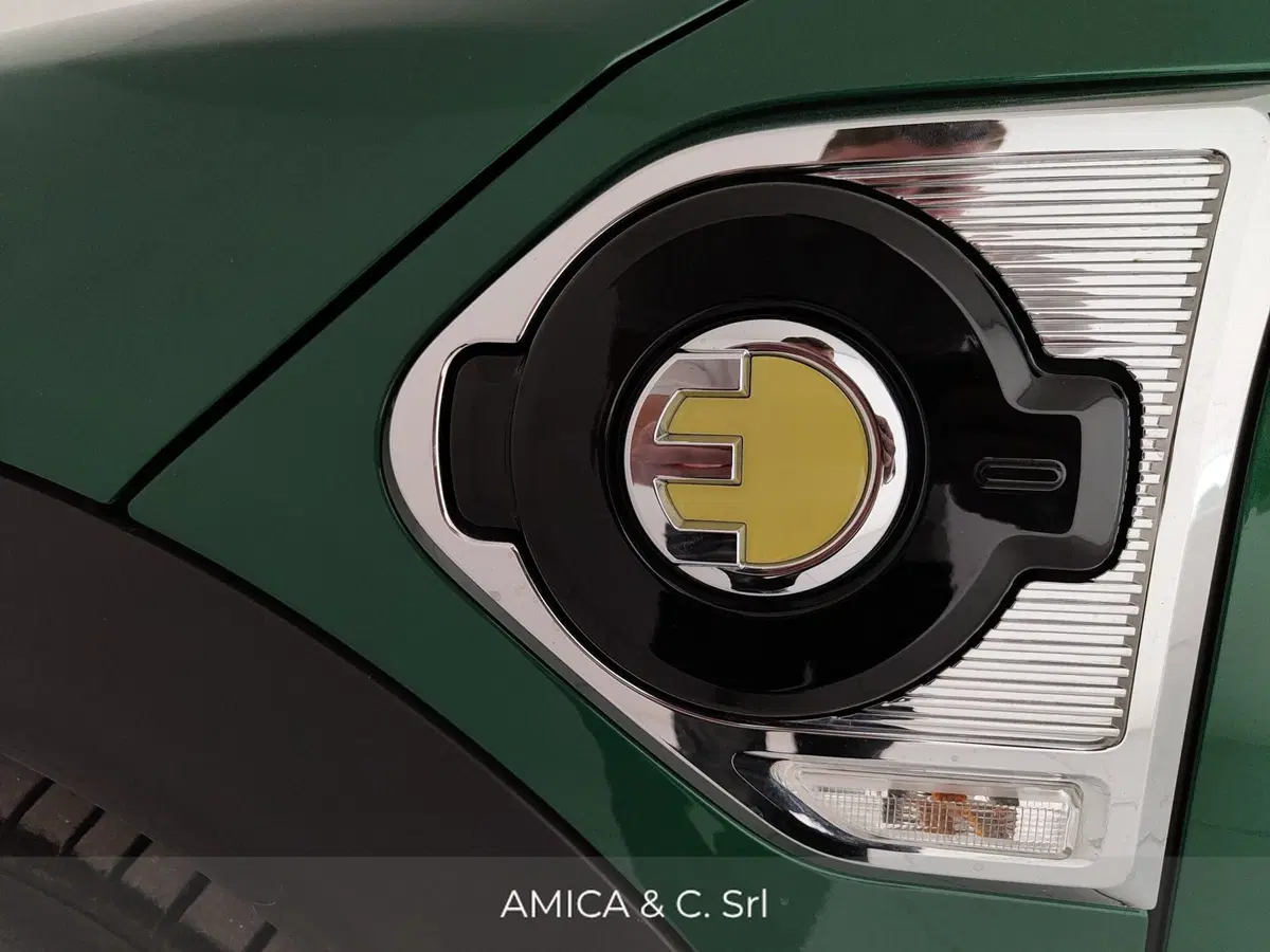 MINI Mini Countryman usata a Caserta (11)