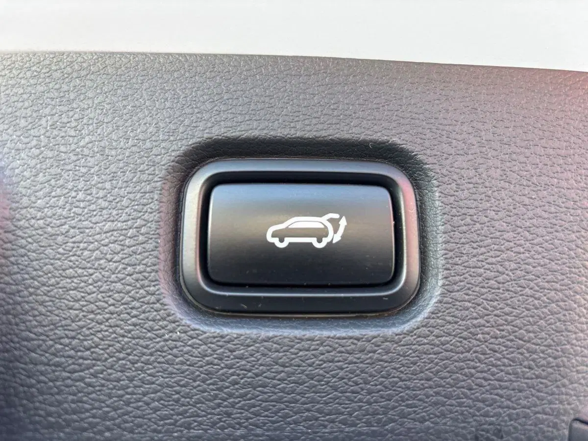 Kia Sportage usata a Treviso (19)