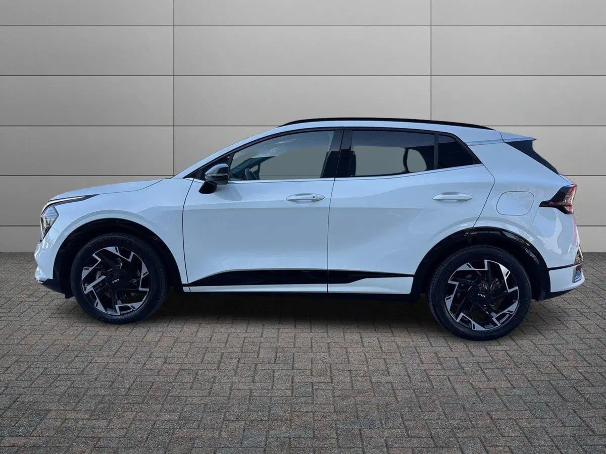 Kia Sportage usata a Treviso (5)