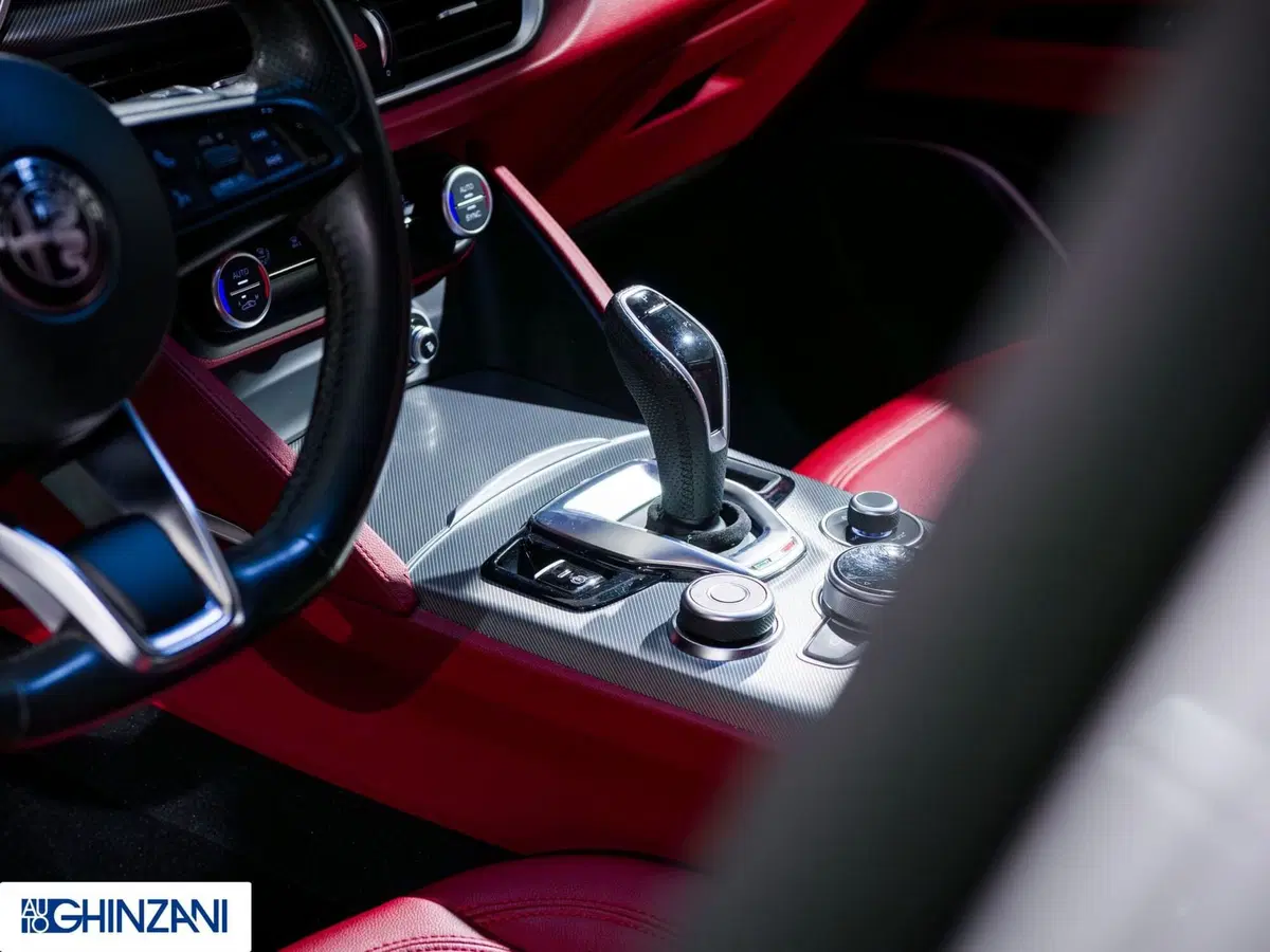 Alfa Romeo Stelvio usata a Bergamo (19)