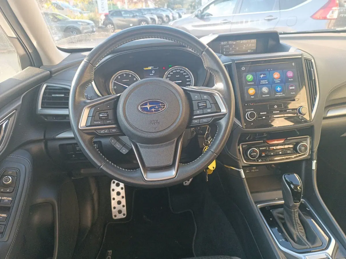 Subaru Forester usata a Forlì-Cesena (10)