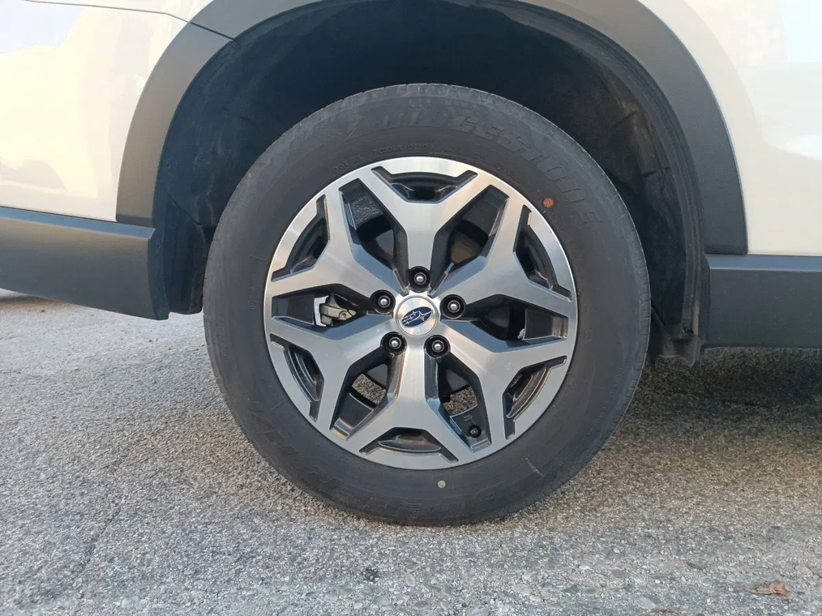 Subaru Forester usata a Forlì-Cesena (17)
