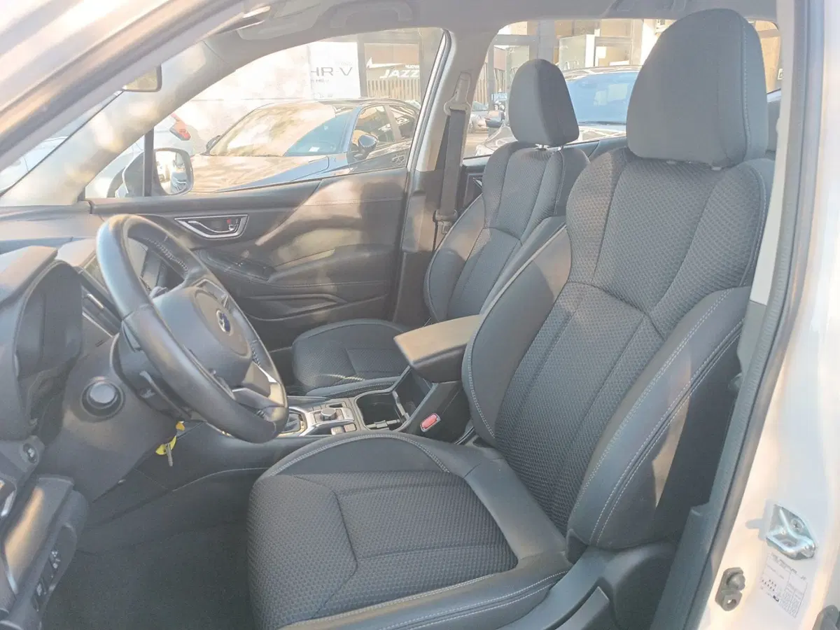 Subaru Forester usata a Forlì-Cesena (18)