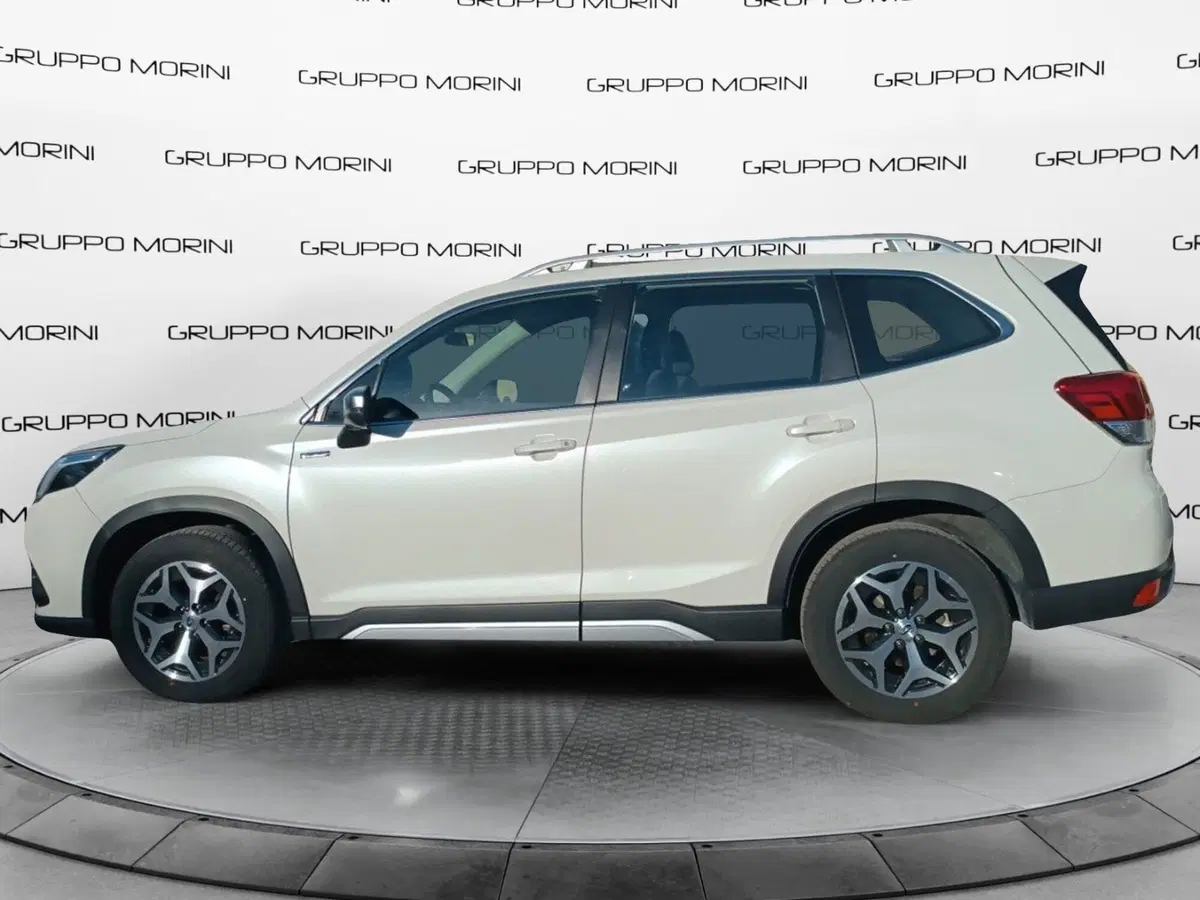 Subaru Forester usata a Forlì-Cesena (2)