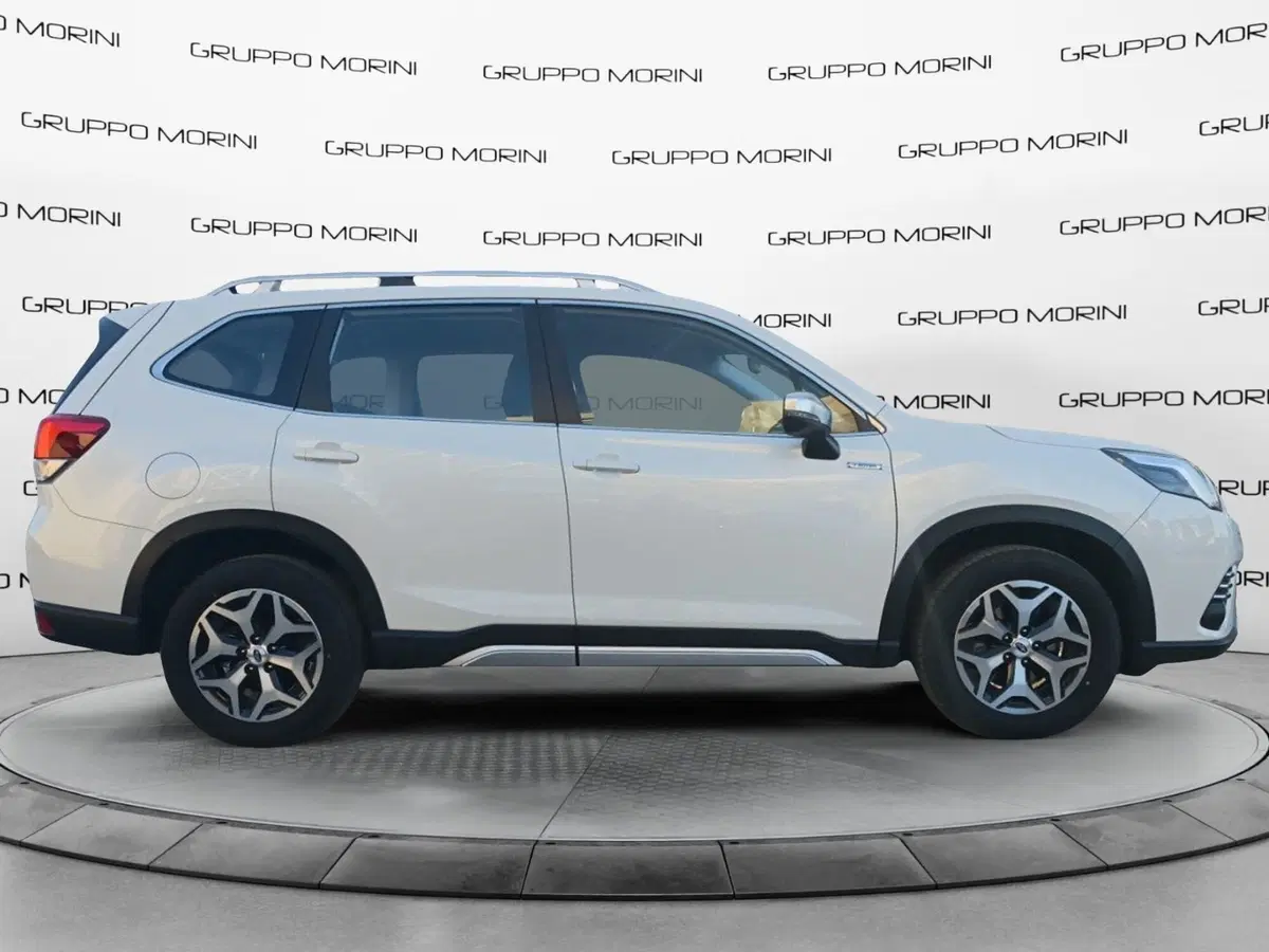 Subaru Forester usata a Forlì-Cesena (5)