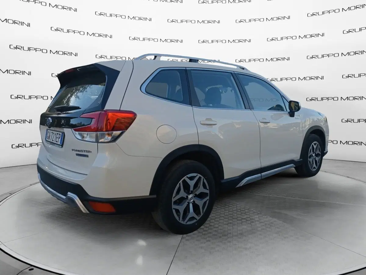 Subaru Forester usata a Forlì-Cesena (6)