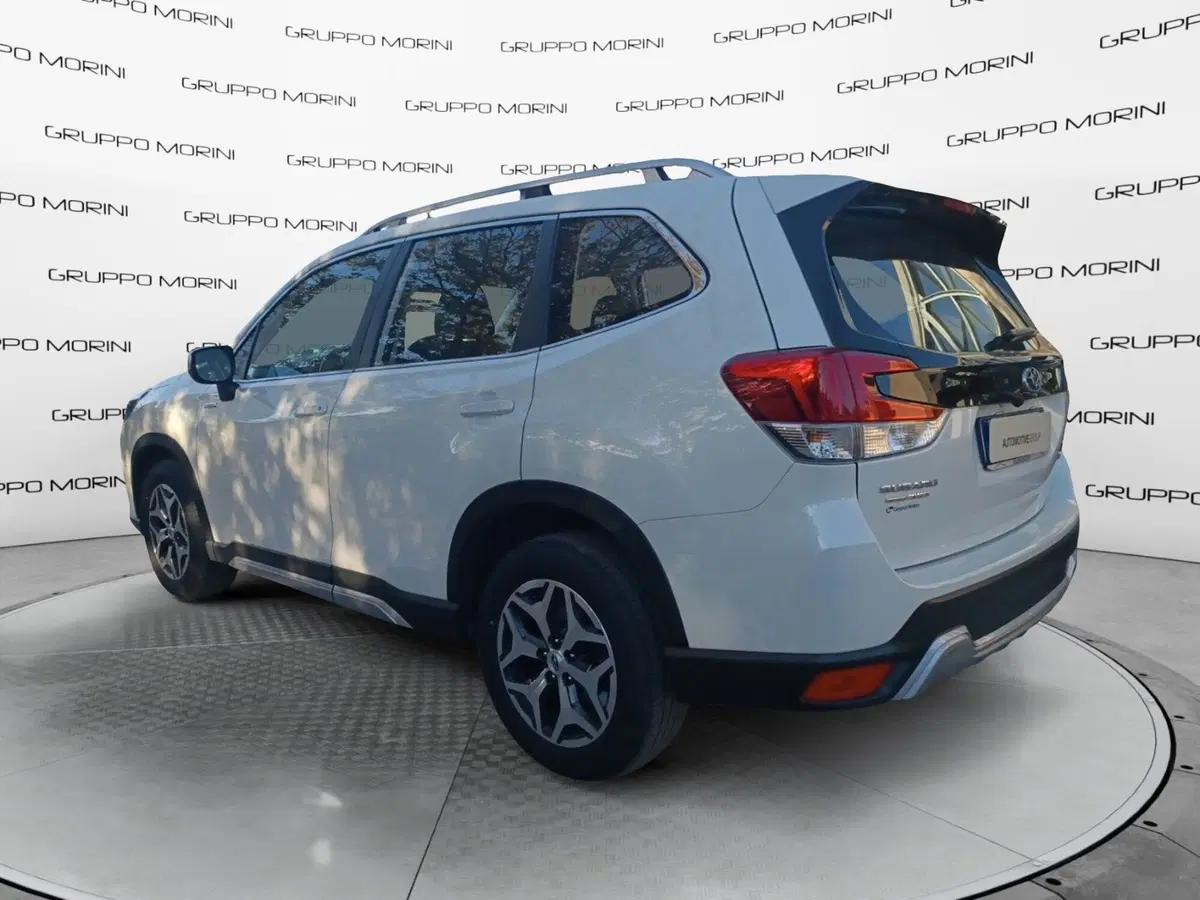 Subaru Forester usata a Forlì-Cesena (7)
