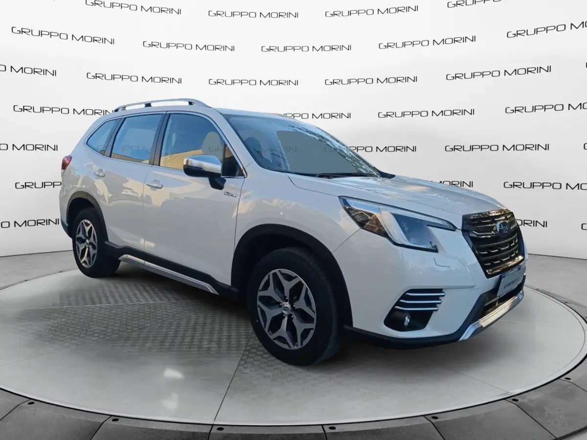 Subaru Forester usata a Forlì-Cesena (8)