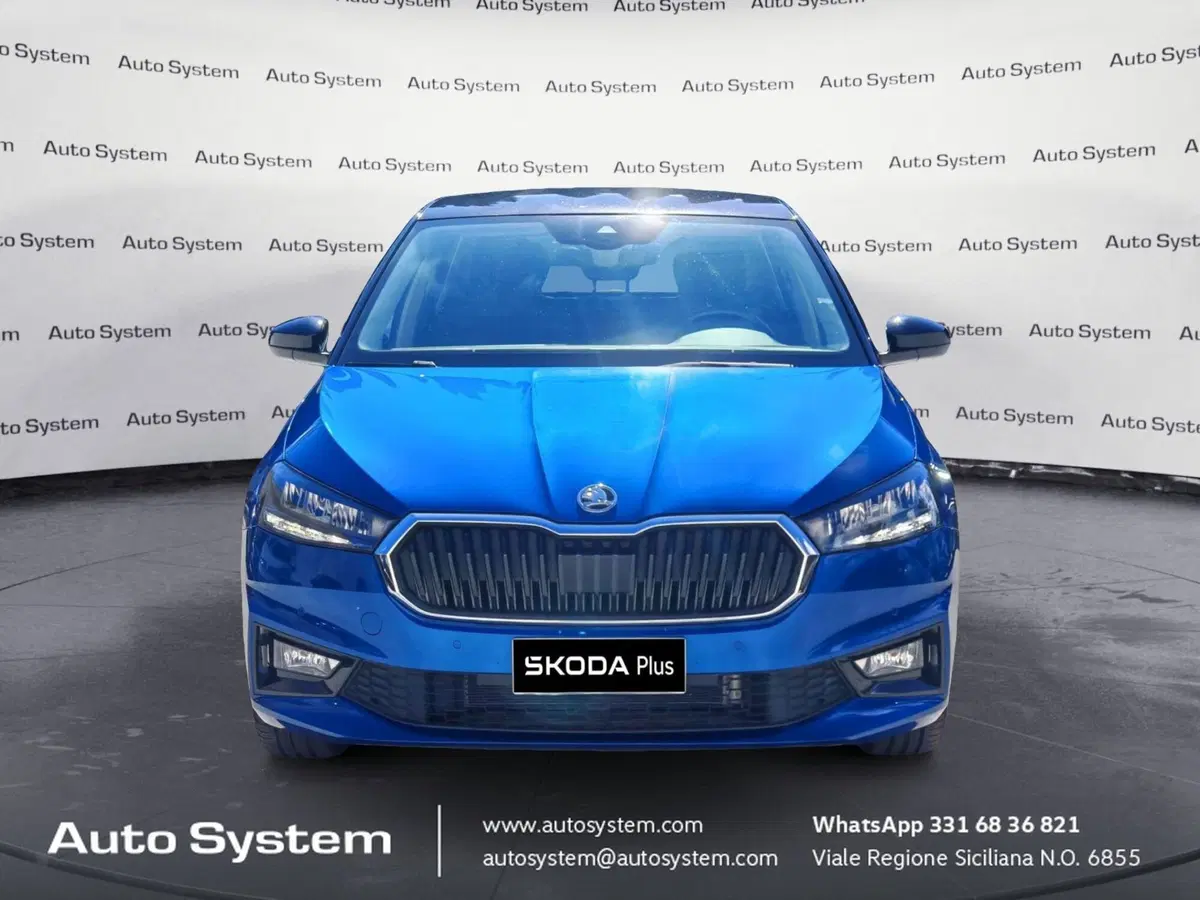 Skoda Fabia usata a Palermo (2)