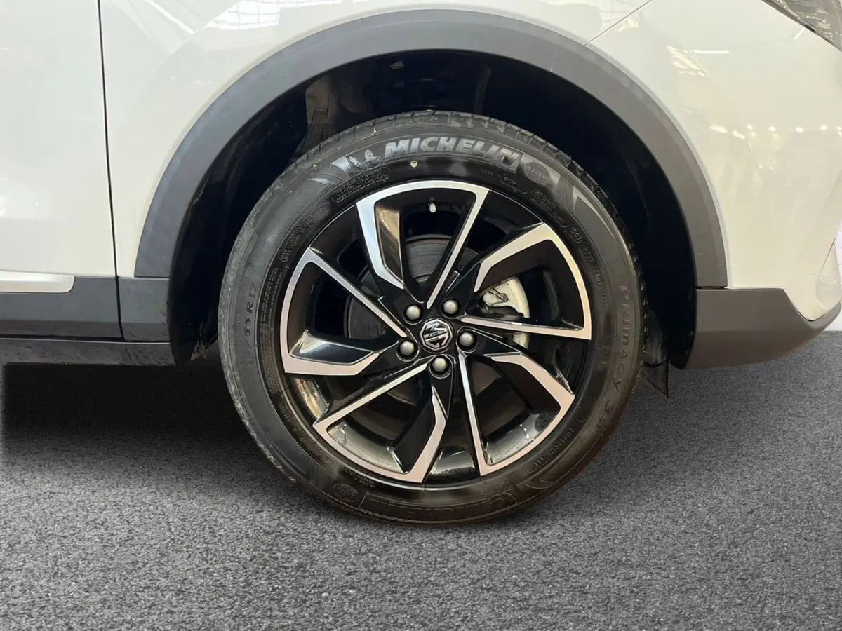 Mg ZS usata a Bari (6)