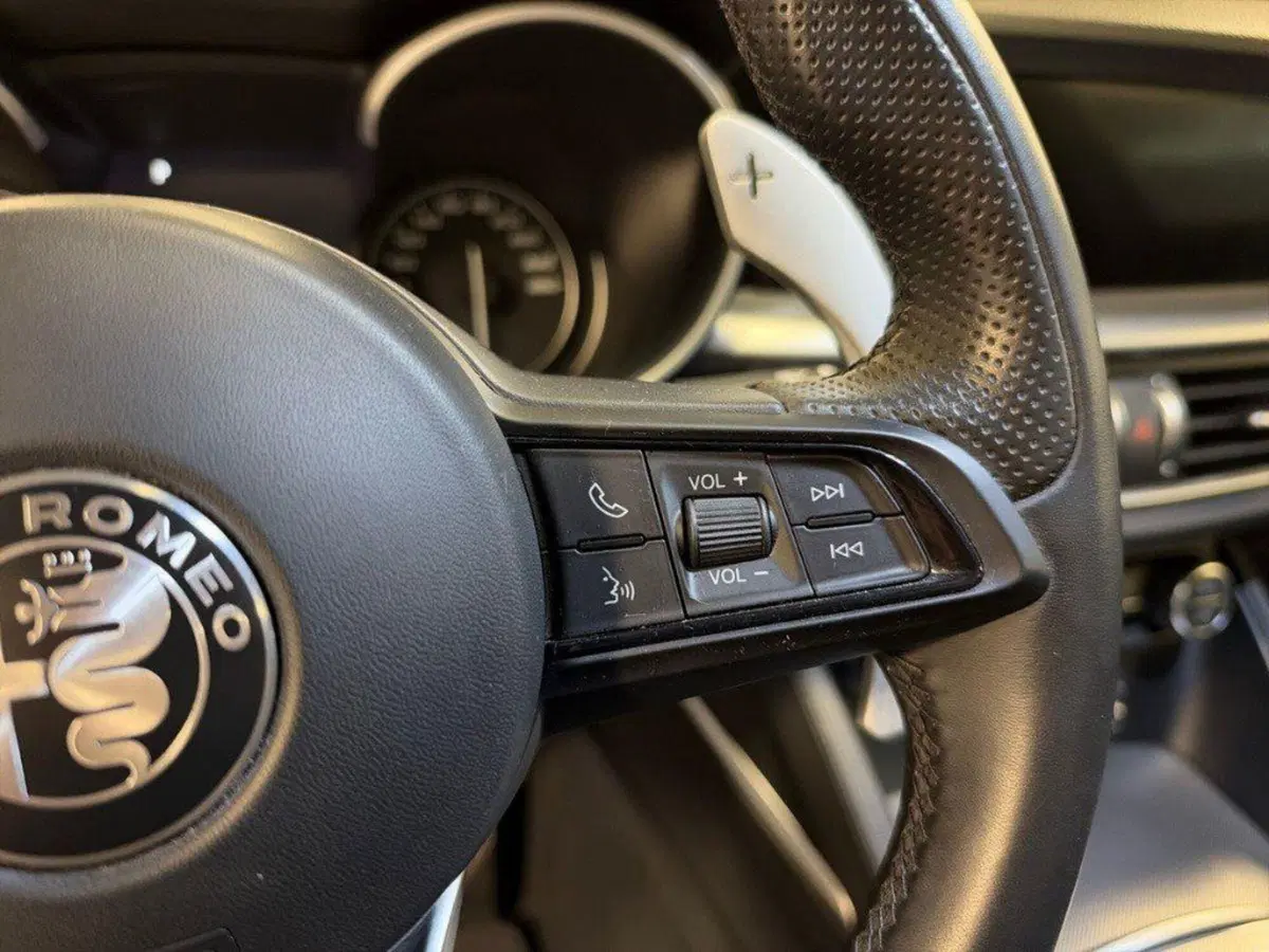Alfa Romeo Stelvio usata a Ancona (18)