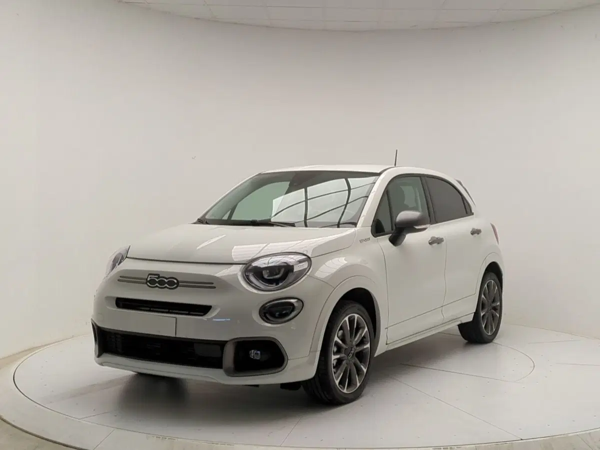 Fiat 500X usata a Avellino (3)