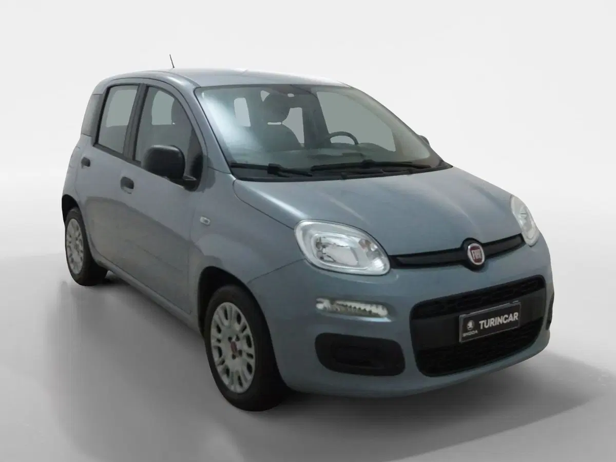 Fiat Panda Cross usata a Torino
