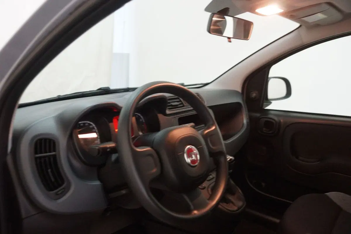 Fiat Panda Cross usata a Torino (10)