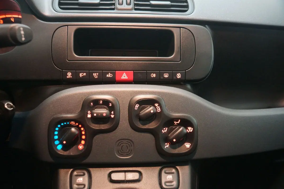Fiat Panda Cross usata a Torino (13)