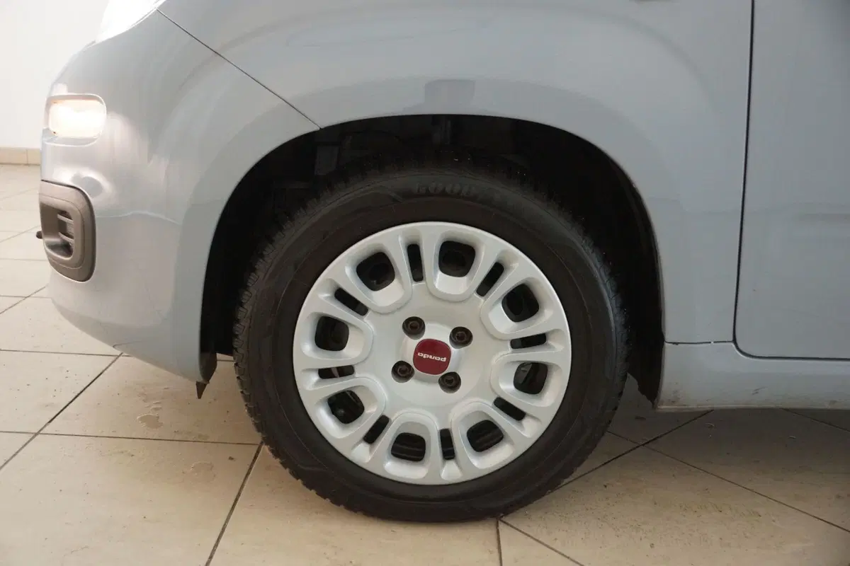 Fiat Panda Cross usata a Torino (14)