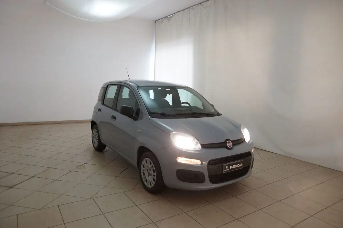 Fiat Panda Cross usata a Torino (15)