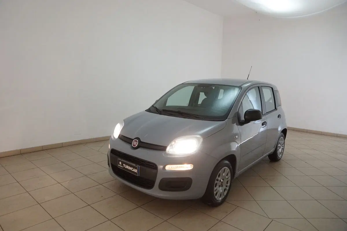 Fiat Panda Cross usata a Torino (17)
