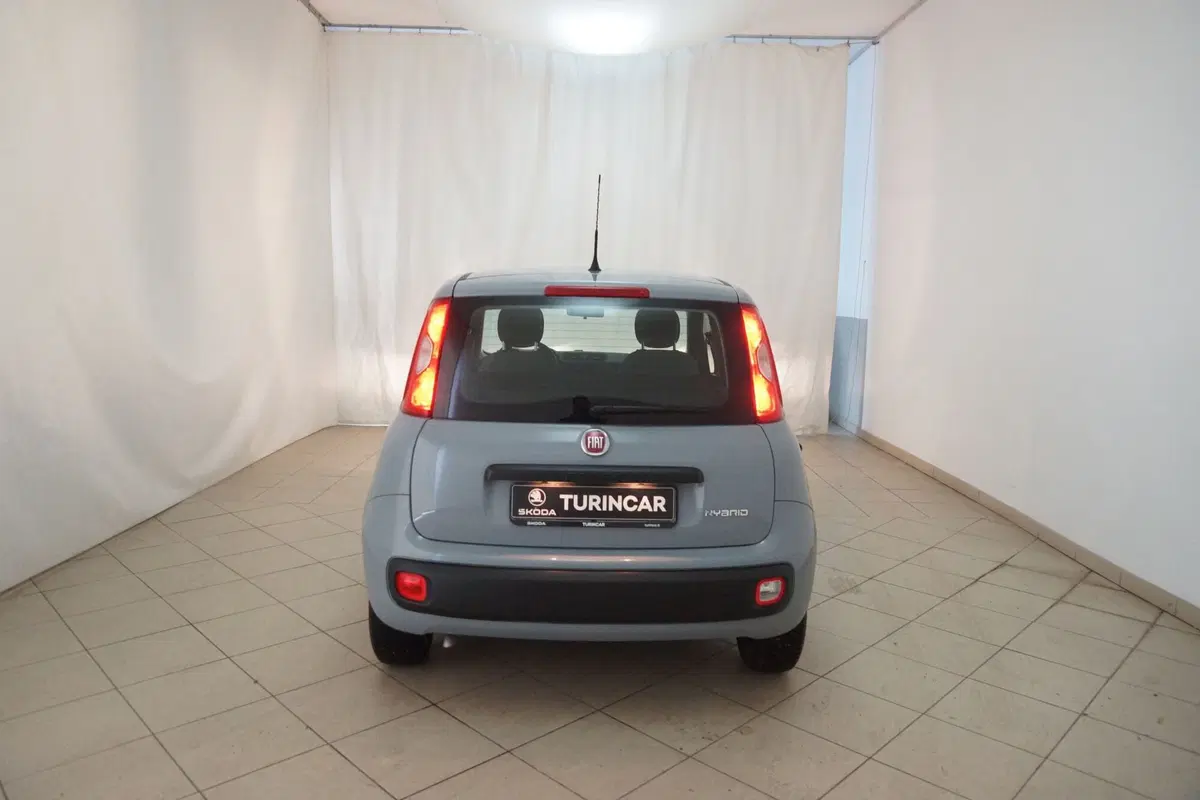 Fiat Panda Cross usata a Torino (19)