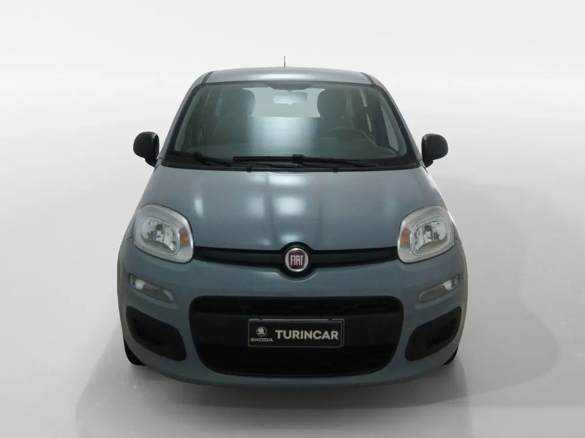 Fiat Panda Cross usata a Torino (2)